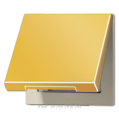 JUNG LS 990 Золото Откидная крышка для розеток и и