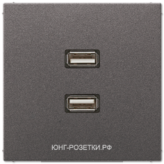 JUNG LS 990 Антрацит Розетка USB 2-я
